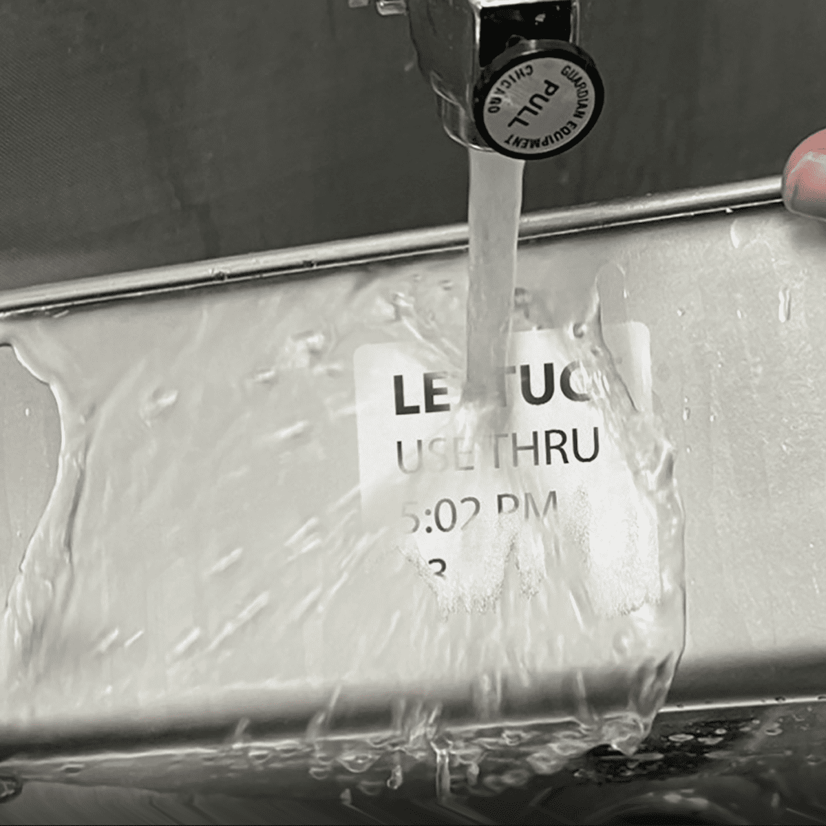 WashAway(Wash-Off Label)