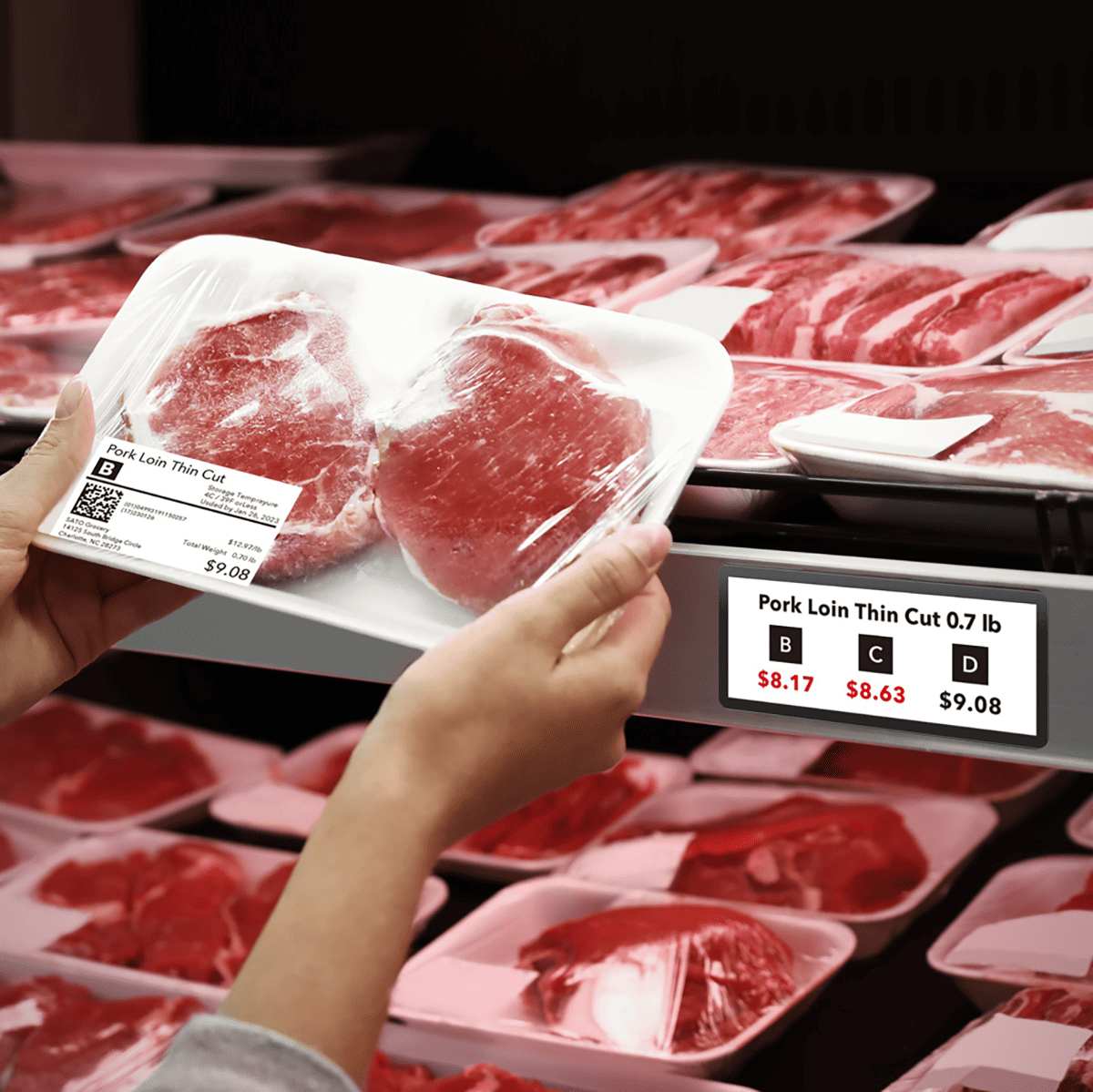 SATO Dynamic Pricing Solution (SDPS)