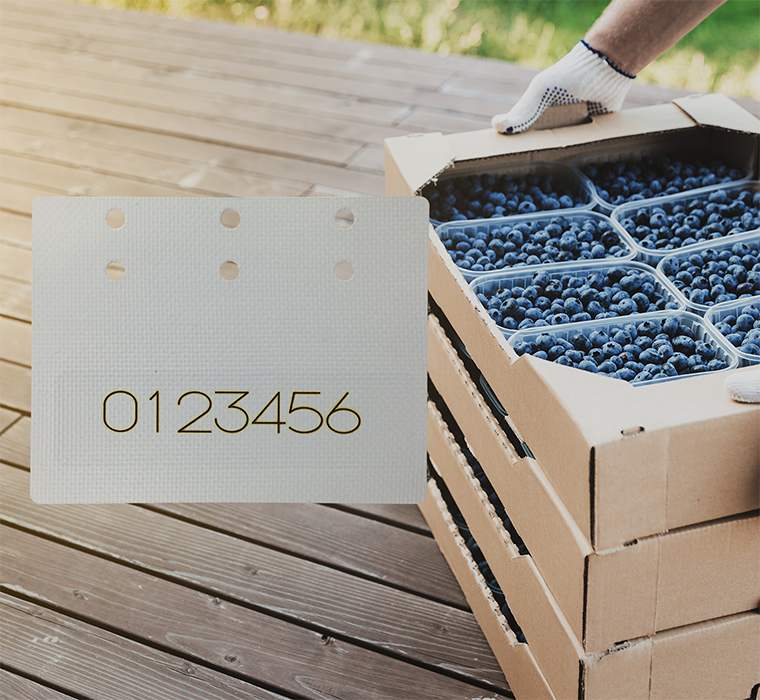 Improved productivity and yield at the plant